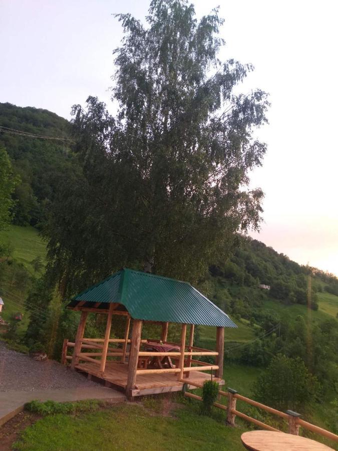 모이코바츠 Etno Selo Zuric 빌라 외부 사진